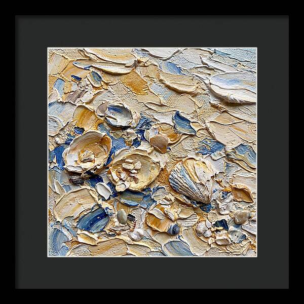 Shells On A Beach