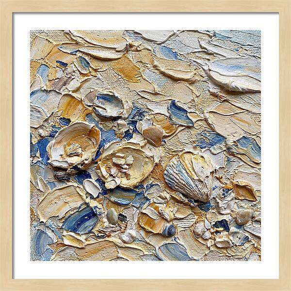 Shells On A Beach