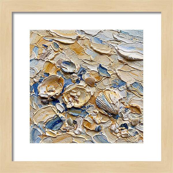 Shells On A Beach