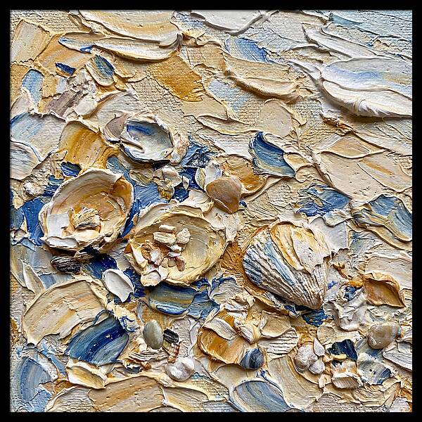 Shells On A Beach