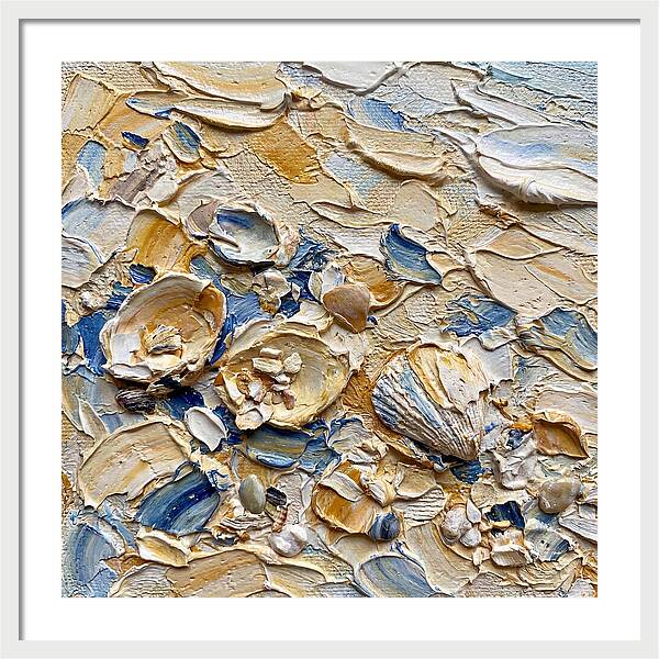 Shells On A Beach