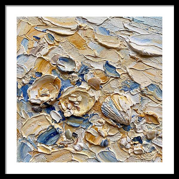 Shells On A Beach