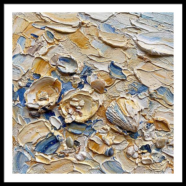 Shells On A Beach