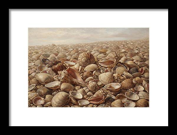 Shells On The Shoreline