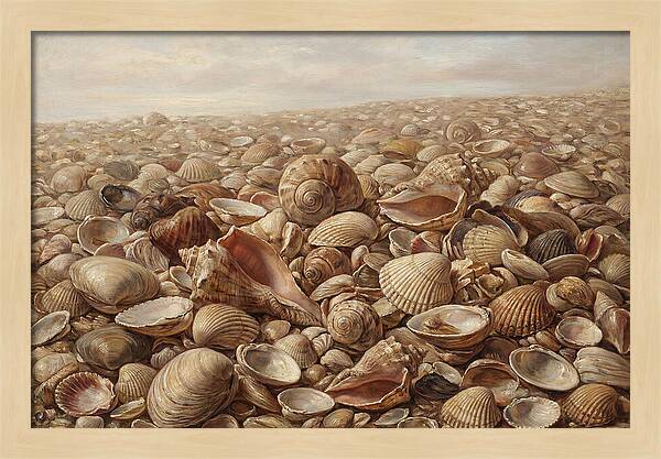 Shells On The Shoreline