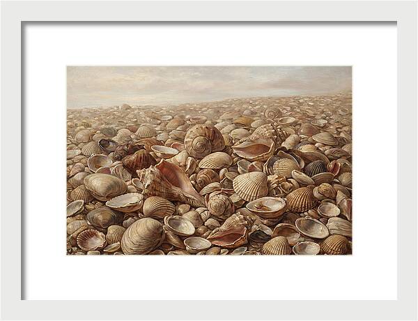 Shells On The Shoreline