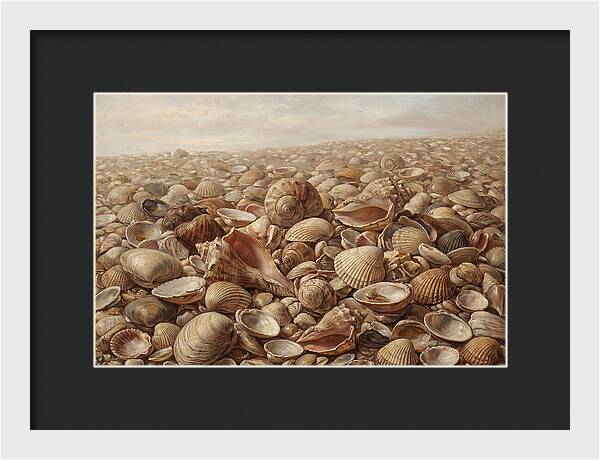 Shells On The Shoreline