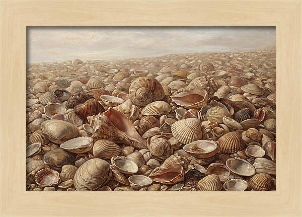 Shells On The Shoreline