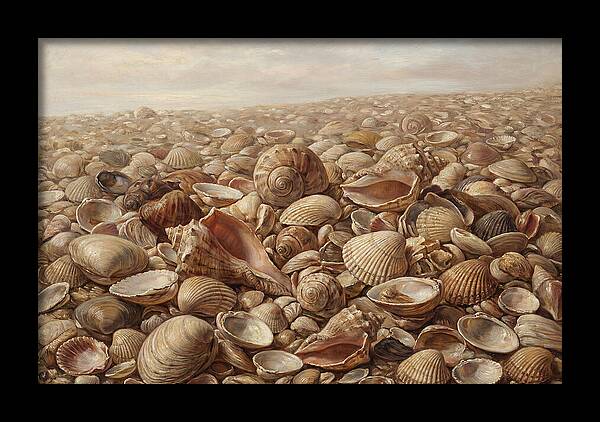 Shells On The Shoreline