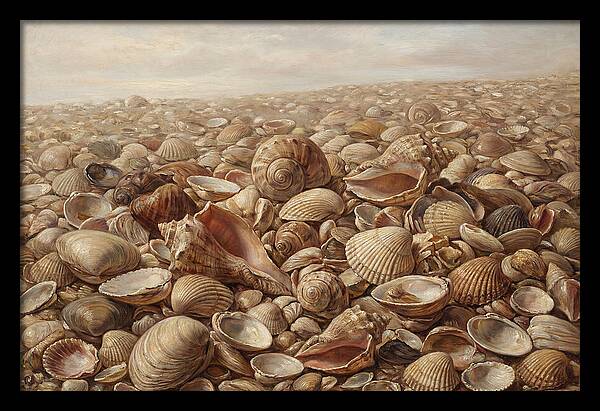 Shells On The Shoreline