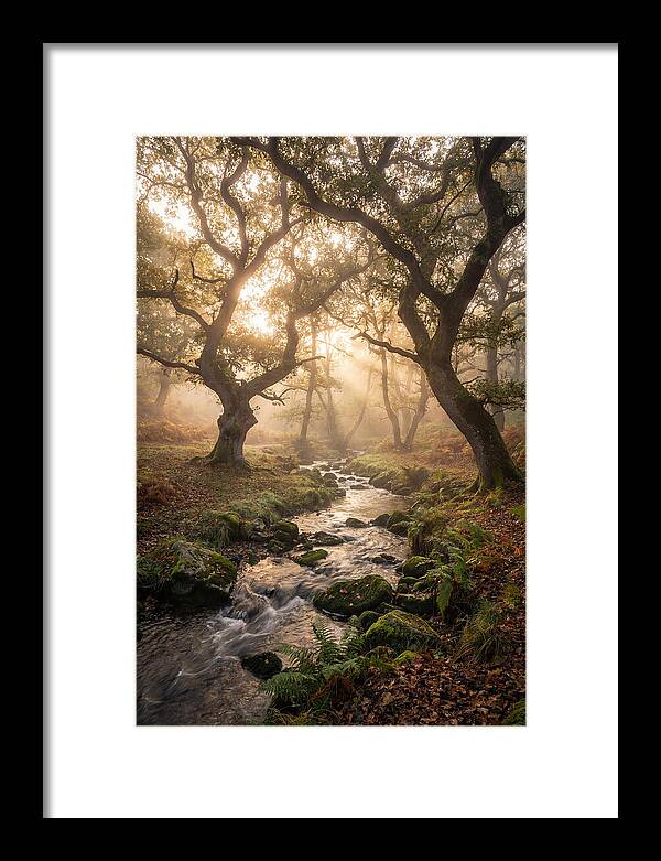 Shenandoah Valley Morning Mist