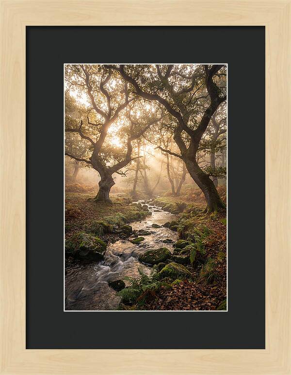 Shenandoah Valley Morning Mist