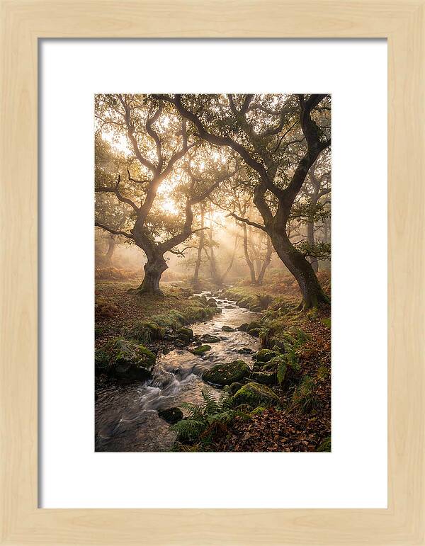 Shenandoah Valley Morning Mist