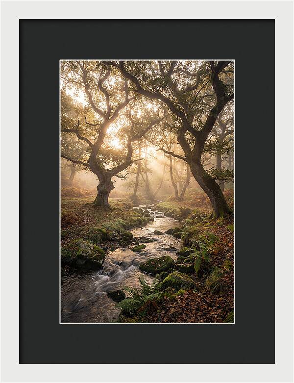 Shenandoah Valley Morning Mist