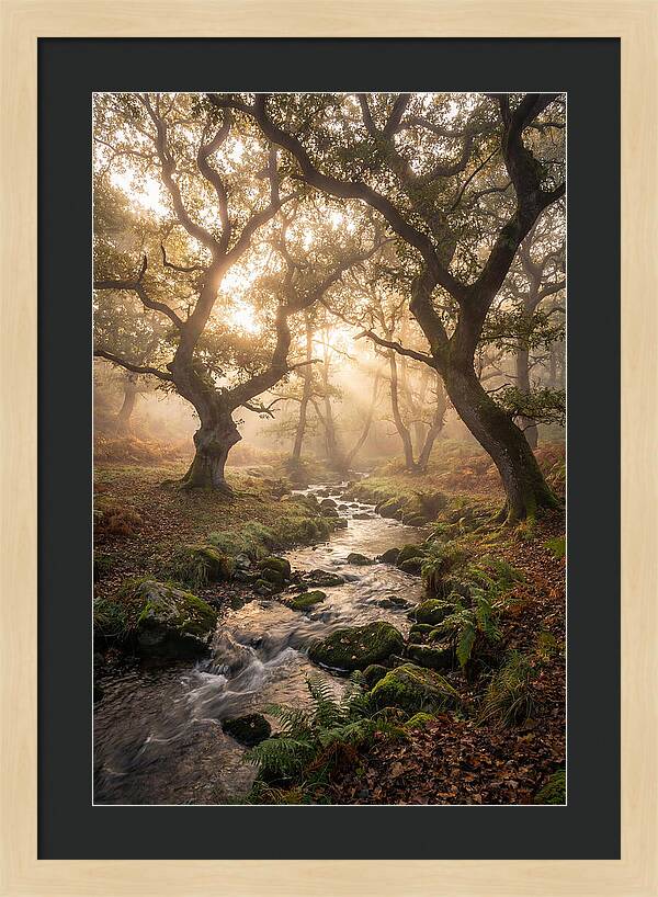 Shenandoah Valley Morning Mist