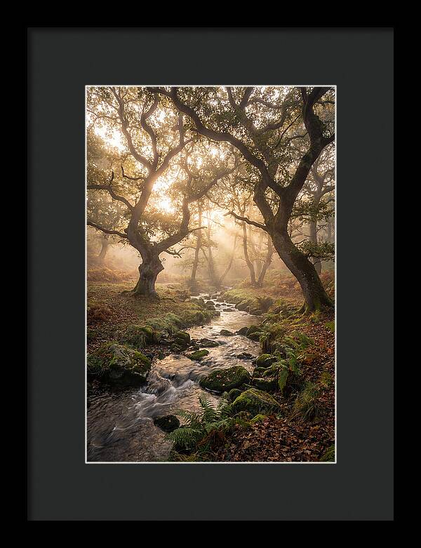 Shenandoah Valley Morning Mist