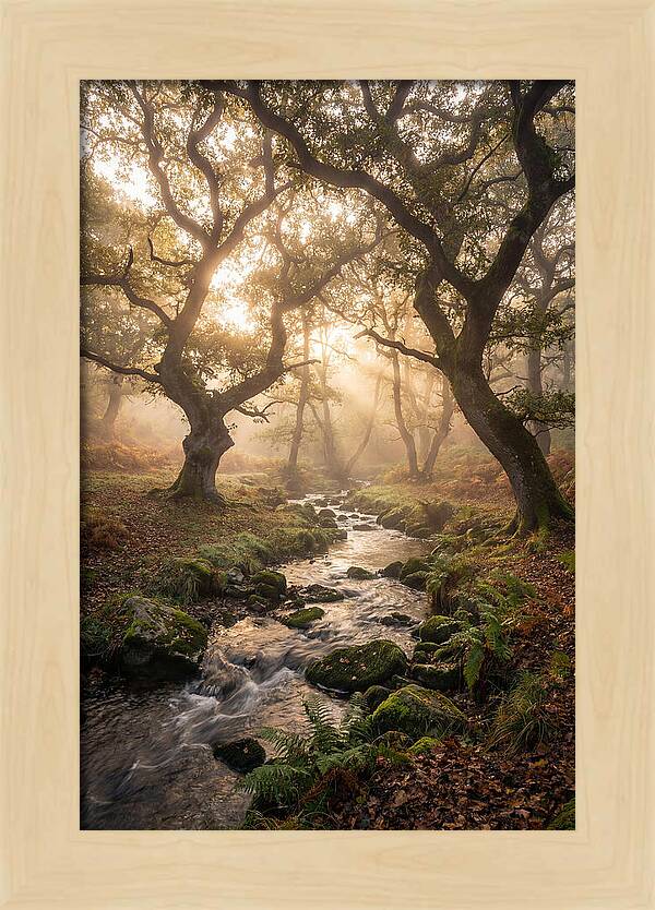 Shenandoah Valley Morning Mist