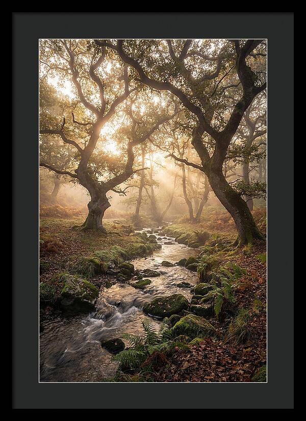 Shenandoah Valley Morning Mist