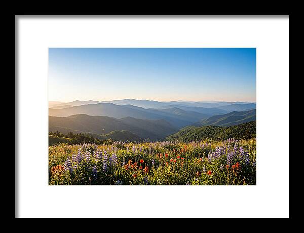 Shenandoah Valley Serenity