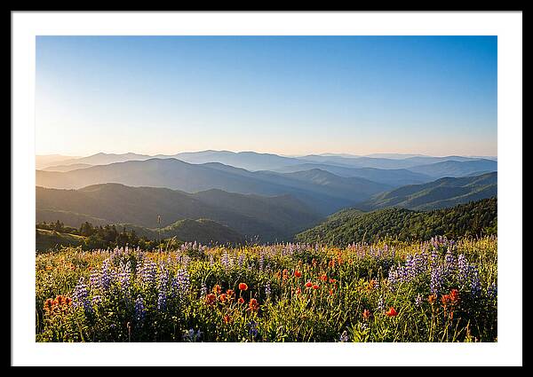Shenandoah Valley Serenity