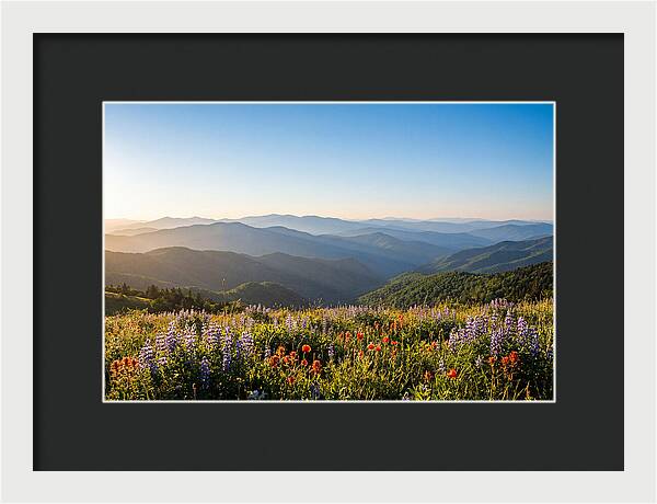 Shenandoah Valley Serenity
