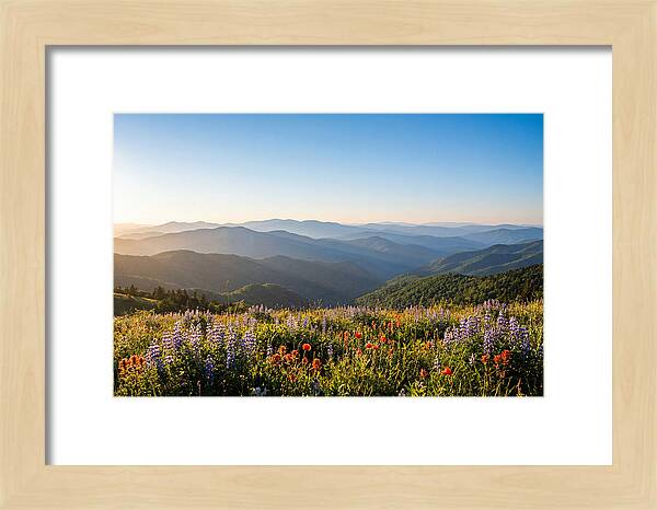 Shenandoah Valley Serenity