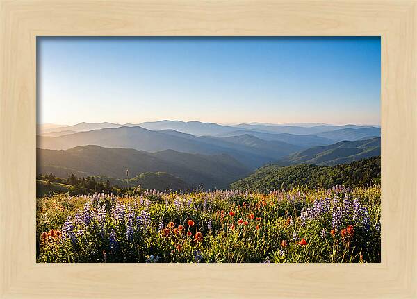 Shenandoah Valley Serenity