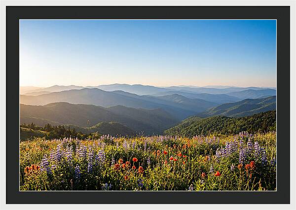 Shenandoah Valley Serenity