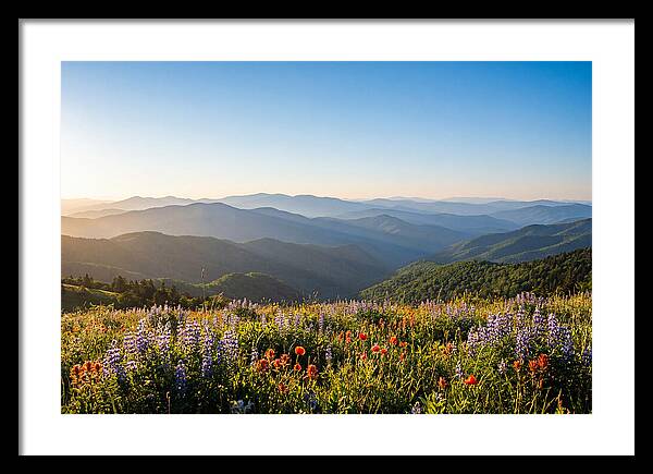 Shenandoah Valley Serenity
