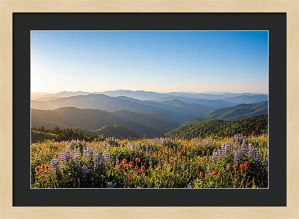 Shenandoah Valley Serenity