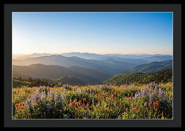 Shenandoah Valley Serenity