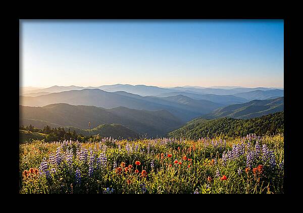 Shenandoah Valley Serenity