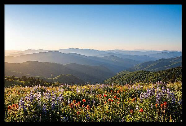 Shenandoah Valley Serenity