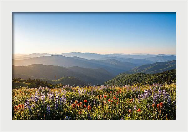 Shenandoah Valley Serenity