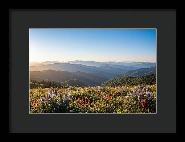 Shenandoah Valley Serenity
