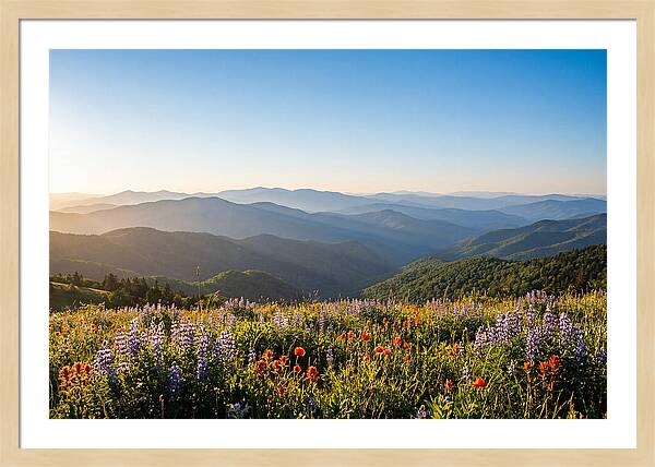 Shenandoah Valley Serenity