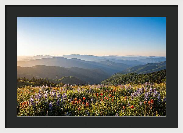 Shenandoah Valley Serenity