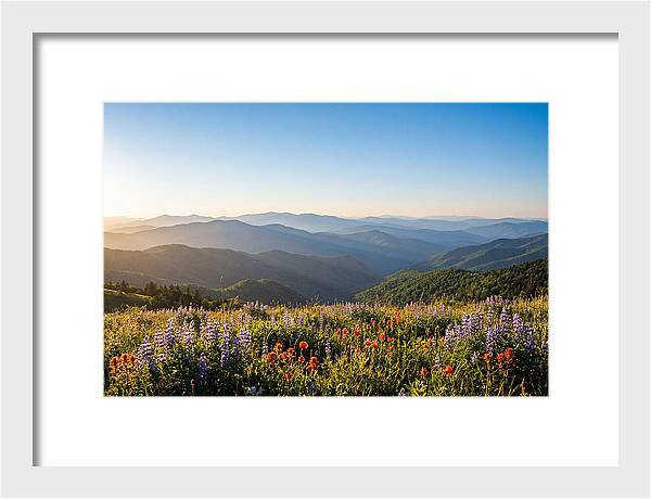 Shenandoah Valley Serenity