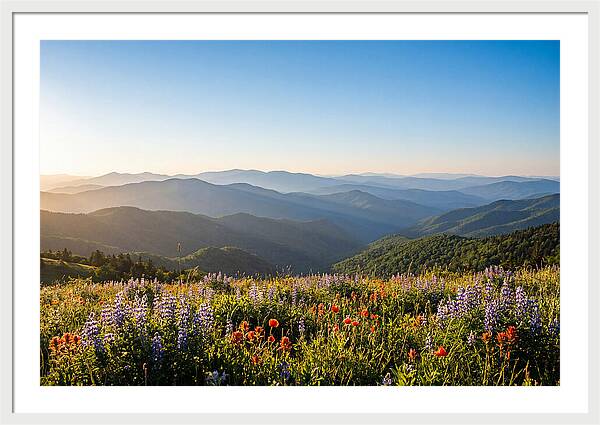 Shenandoah Valley Serenity