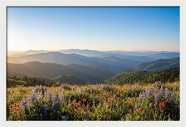 Shenandoah Valley Serenity
