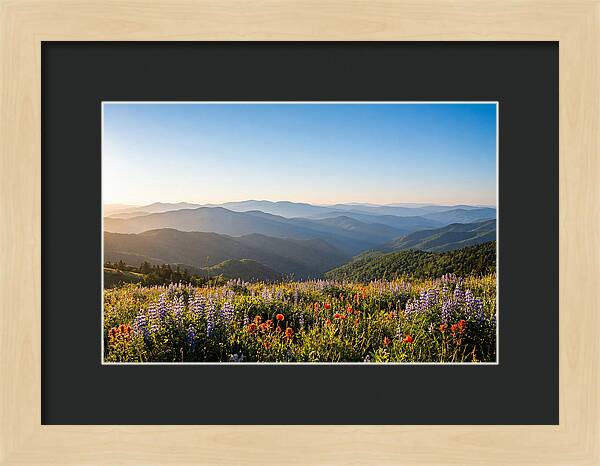 Shenandoah Valley Serenity