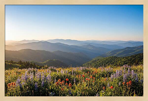 Shenandoah Valley Serenity
