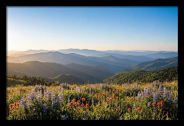 Shenandoah Valley Serenity