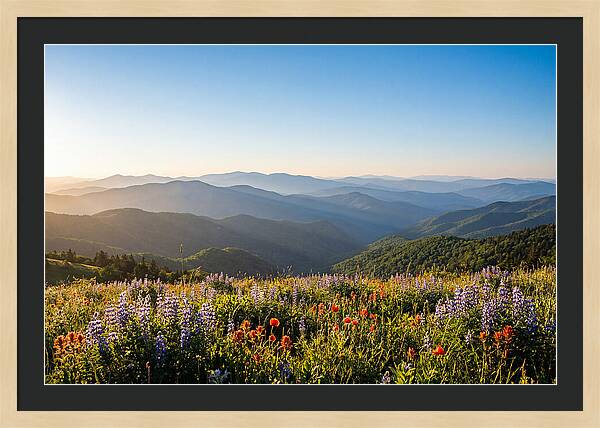Shenandoah Valley Serenity