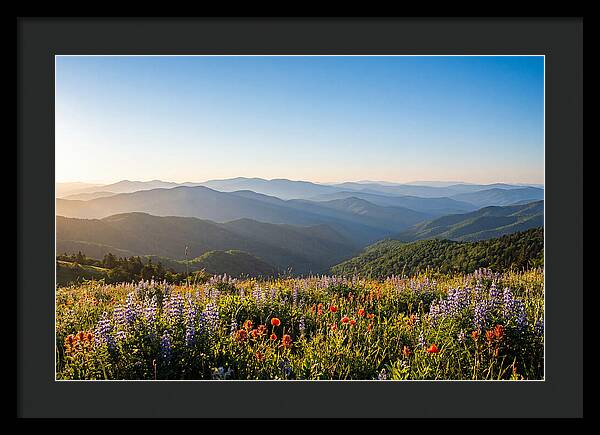 Shenandoah Valley Serenity