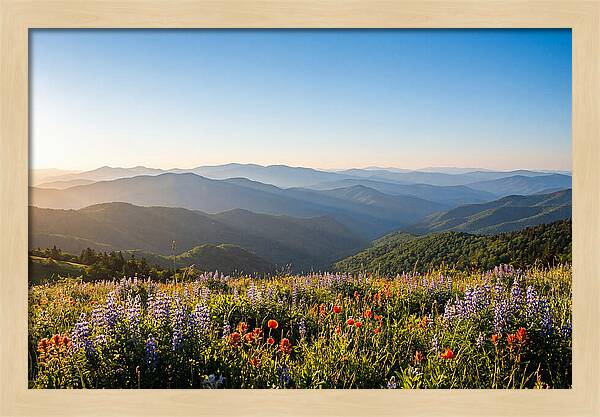 Shenandoah Valley Serenity