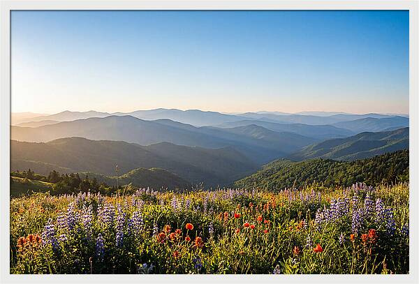 Shenandoah Valley Serenity