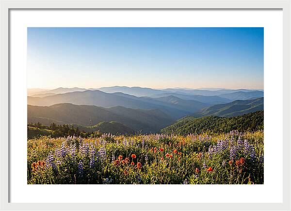 Shenandoah Valley Serenity
