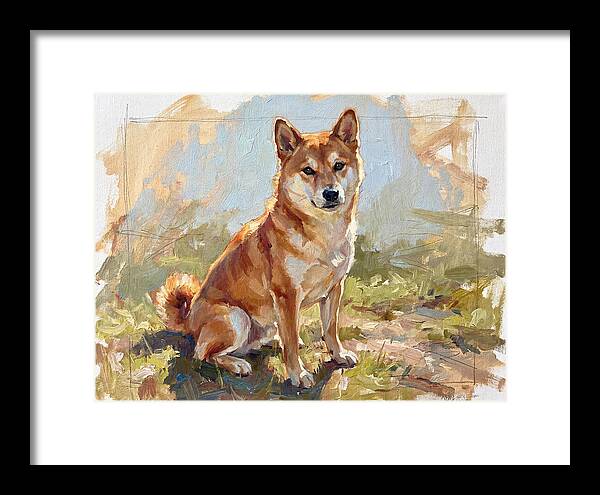 Shiba Inu In Natural Light