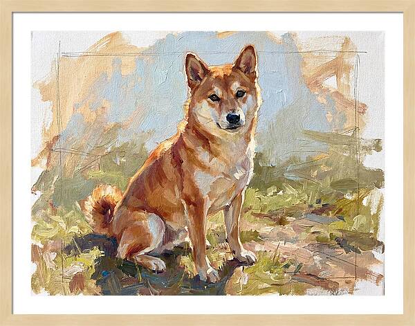 Shiba Inu In Natural Light